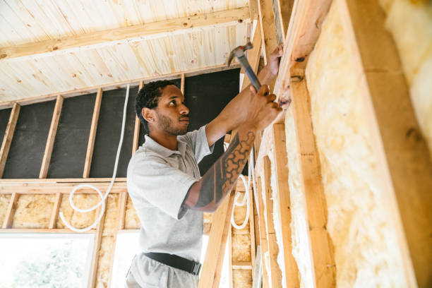 Professional Insulation in Princeville, NC